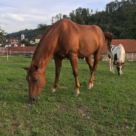 Εξοχικό σπίτι Hofbauerngut Sproedhuber