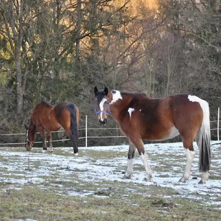 Hofbauerngut Sproedhuber Country house Passau