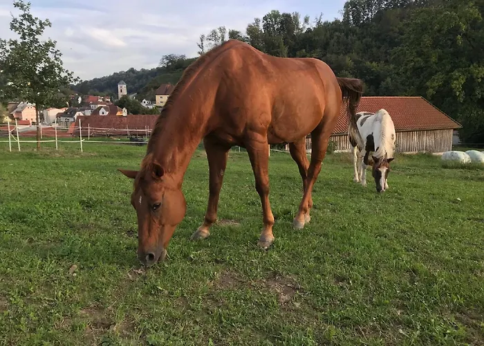 Landhuis Hofbauerngut Sproedhuber