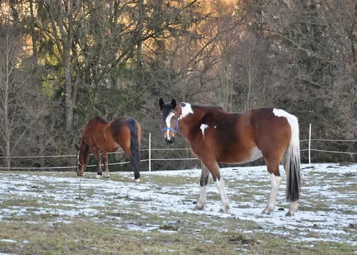 Hofbauerngut Sproedhuber Landhuis Passau